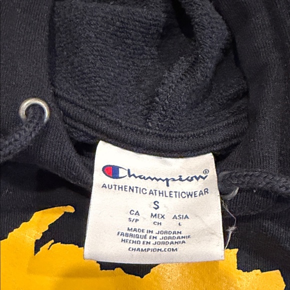 University of Michigan Champion Unisex Hoodie - Picture 4 of 5